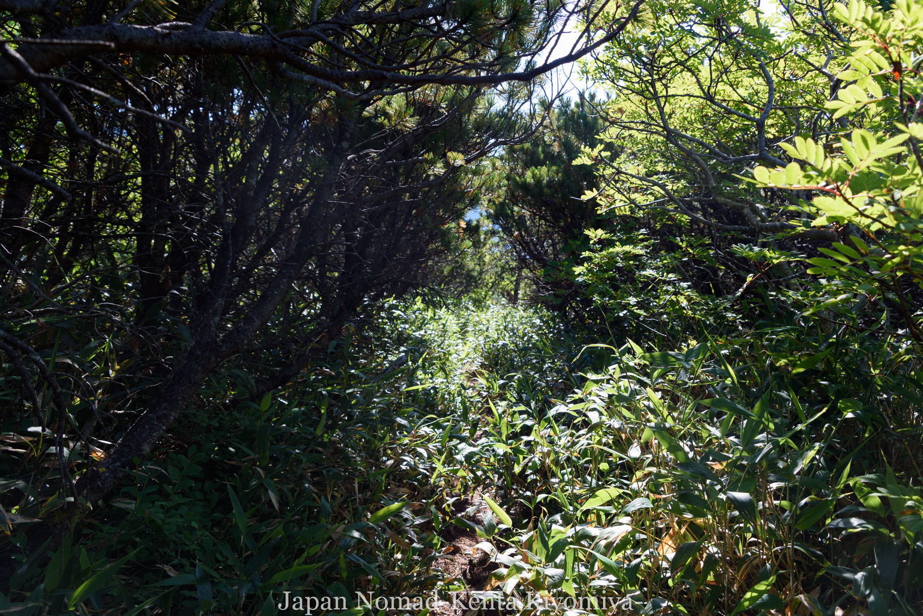 自転車日本一周（旭岳～富良野岳　縦走3日目）-Japan Nomad (37)